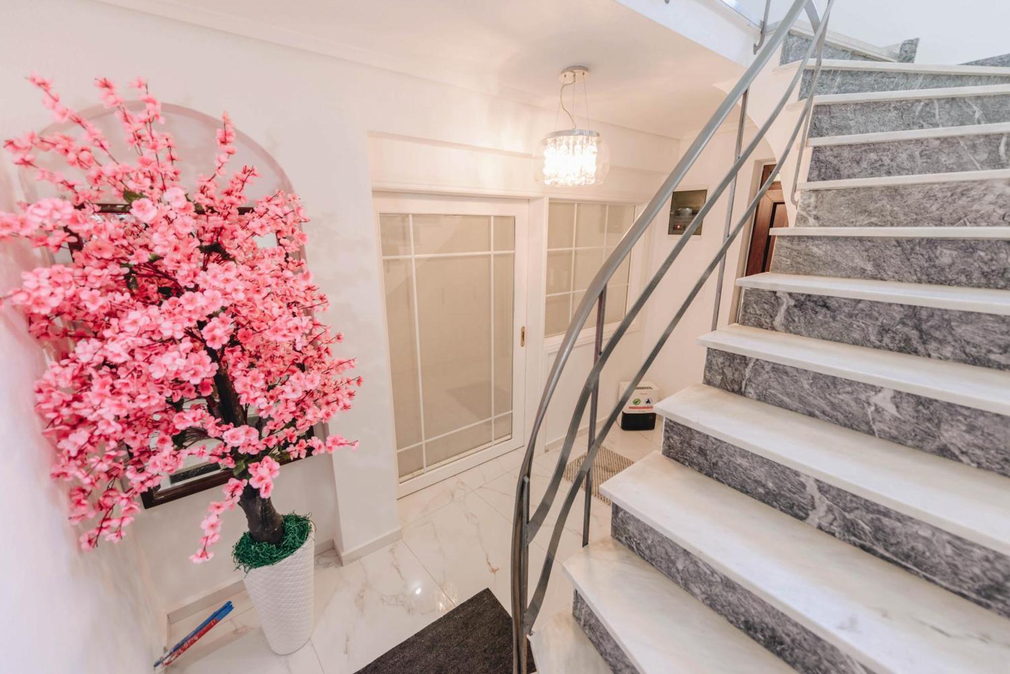 Sunrise Guesthouse Agria Dış mekan fotoğraf